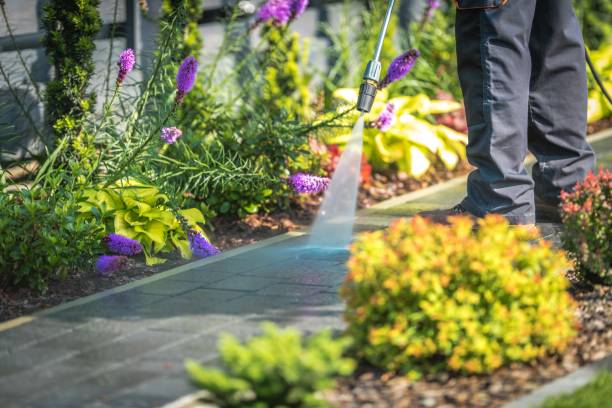 Best Patio and Deck Pressure Washing  in Palmview South, TX
