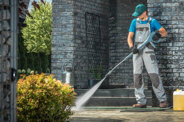 Best Gutter Cleaning  in Palmview South, TX
