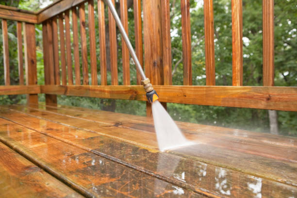 Best Animal Enclosure Cleaning  in Palmview South, TX