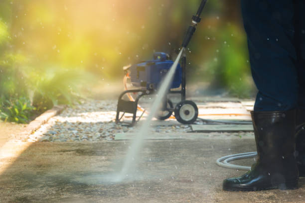 Best Fence Cleaning  in Palmview South, TX